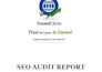 do complete website SEO audit for wordpress, shopify and custom site